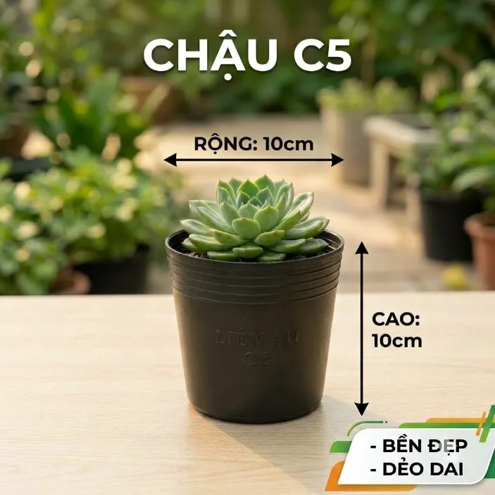 Chậu nhựa dẻo C5 - Chậu nhựa C dẻo đen/đỏ Mgarden