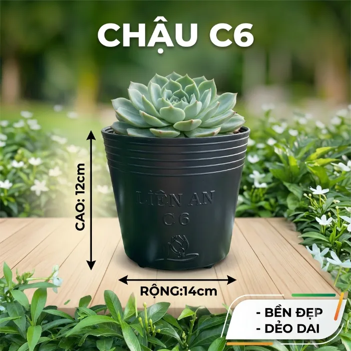 Chậu nhựa dẻo C6 - Chậu nhựa C dẻo đen/đỏ Mgarden