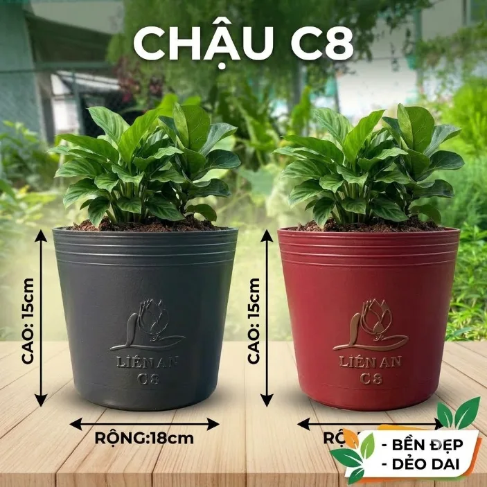 Chậu nhựa dẻo đen/đỏ C8 - Chậu nhựa C dẻo đen/đỏ Mgarden