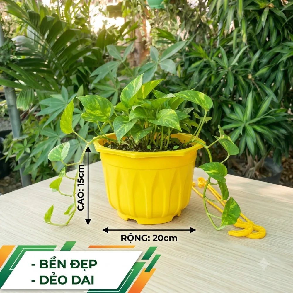 Chậu treo tứ quý gốc 20x15cm - Chậu treo Mgarden