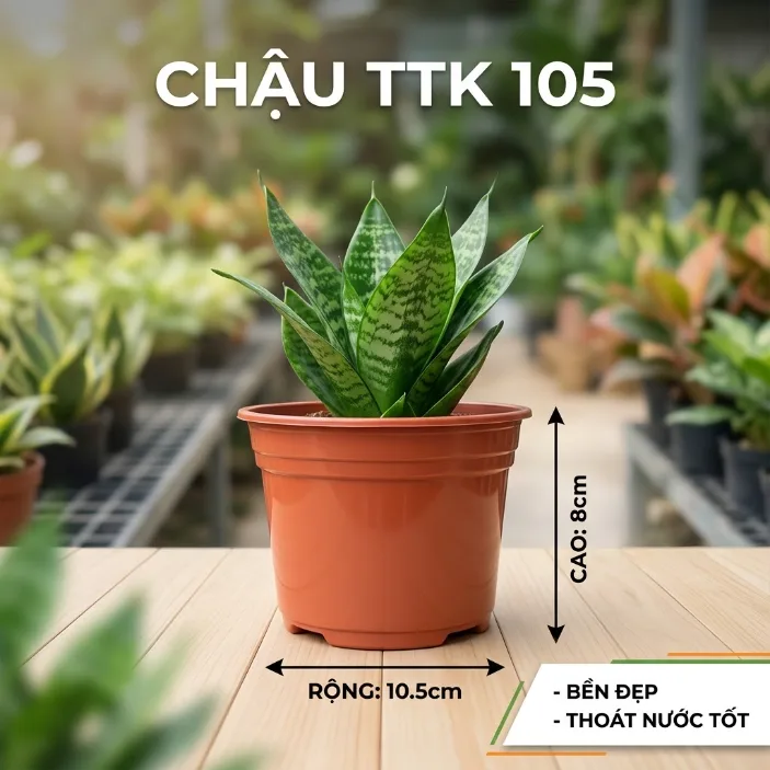 Chậu TTK105