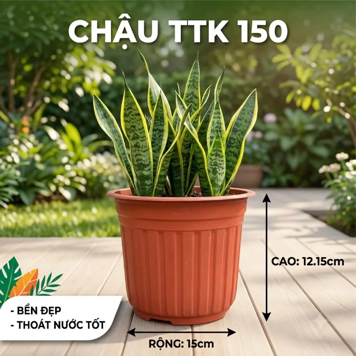 Chậu TTK150