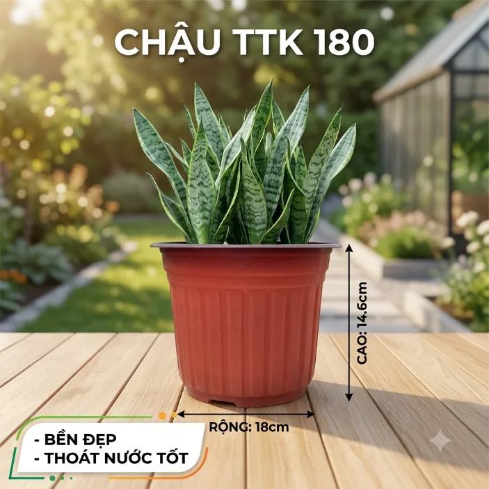 Chậu TTK180