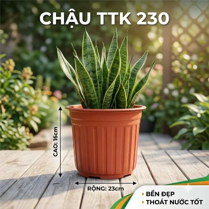 Chậu TTK230