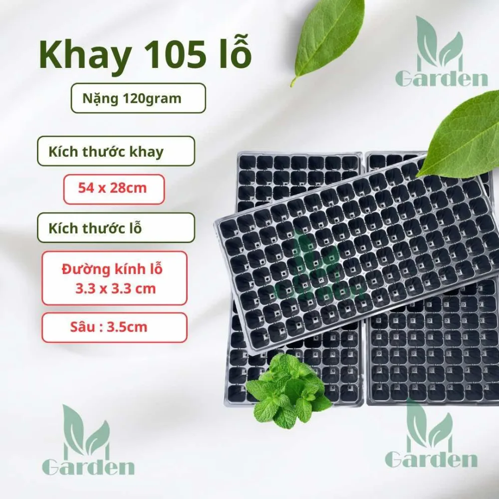105 lỗ