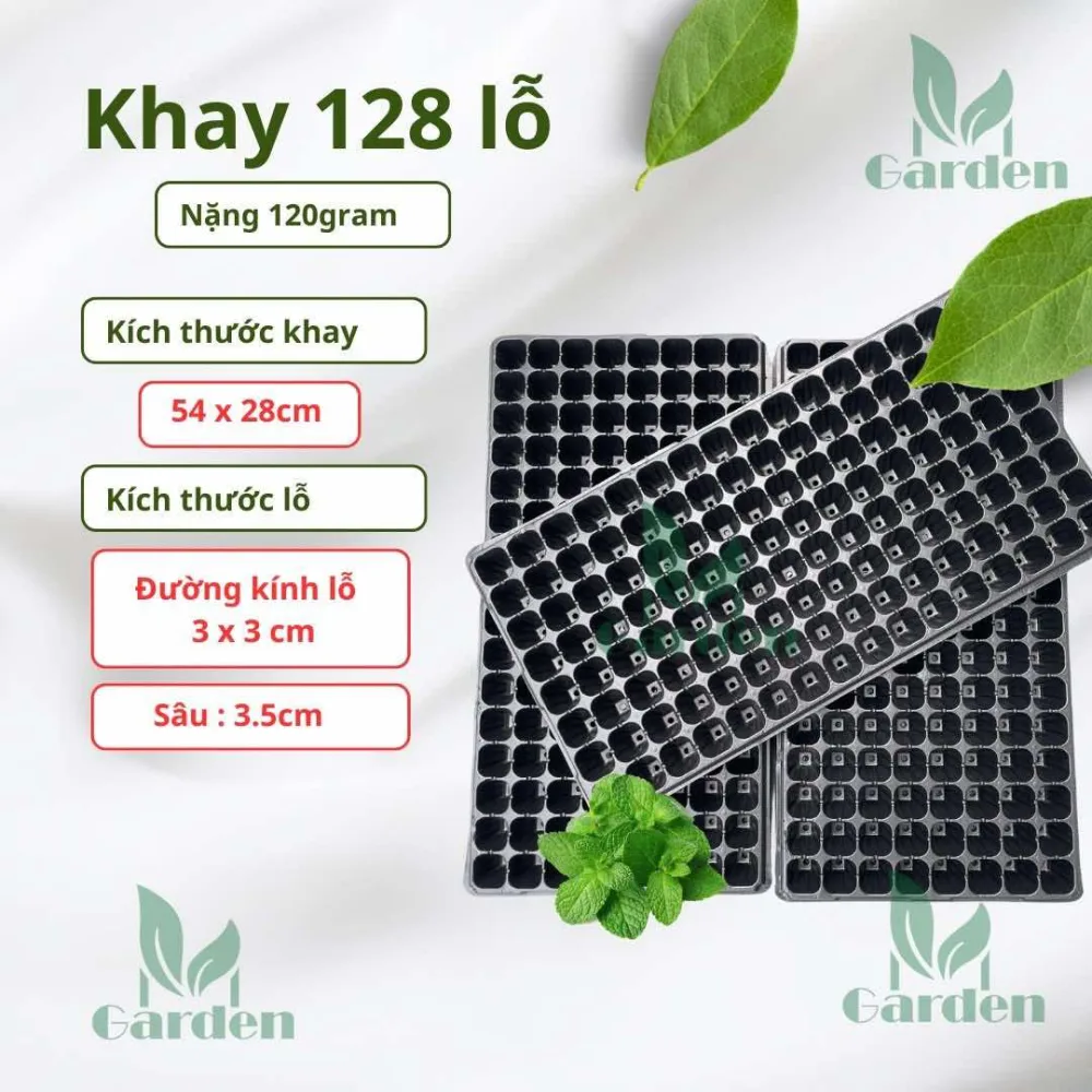 128 lỗ
