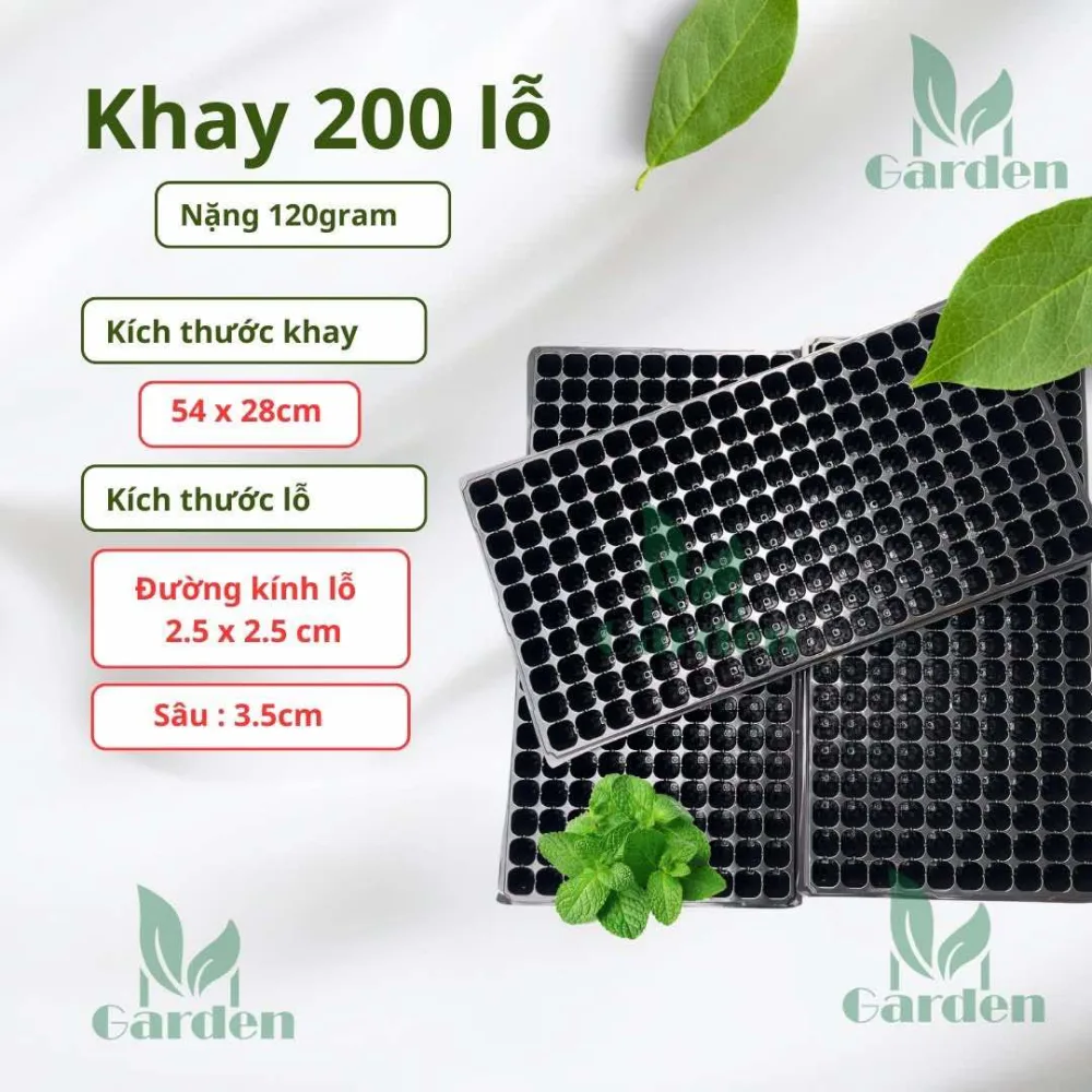 200 lỗ