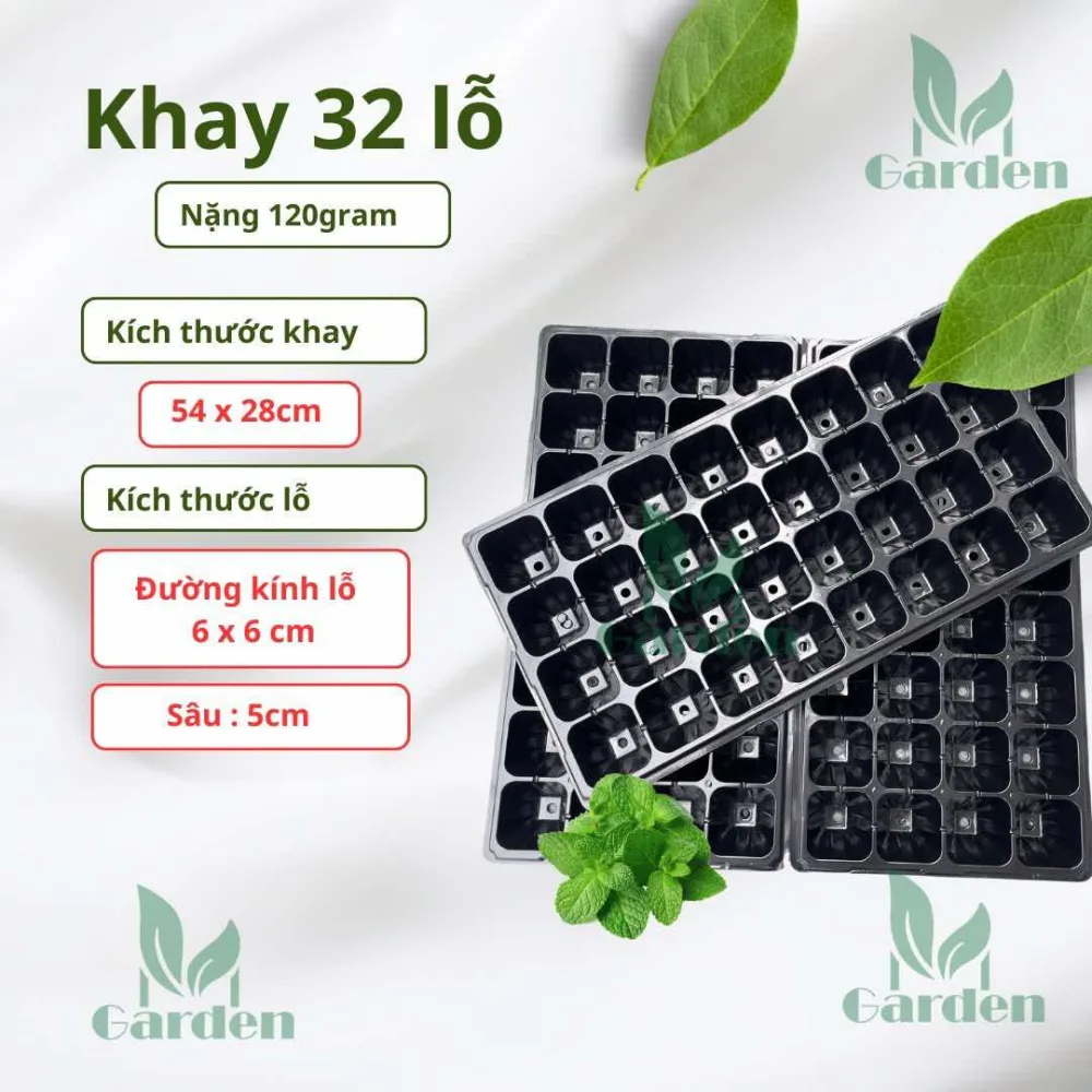 32 lỗ