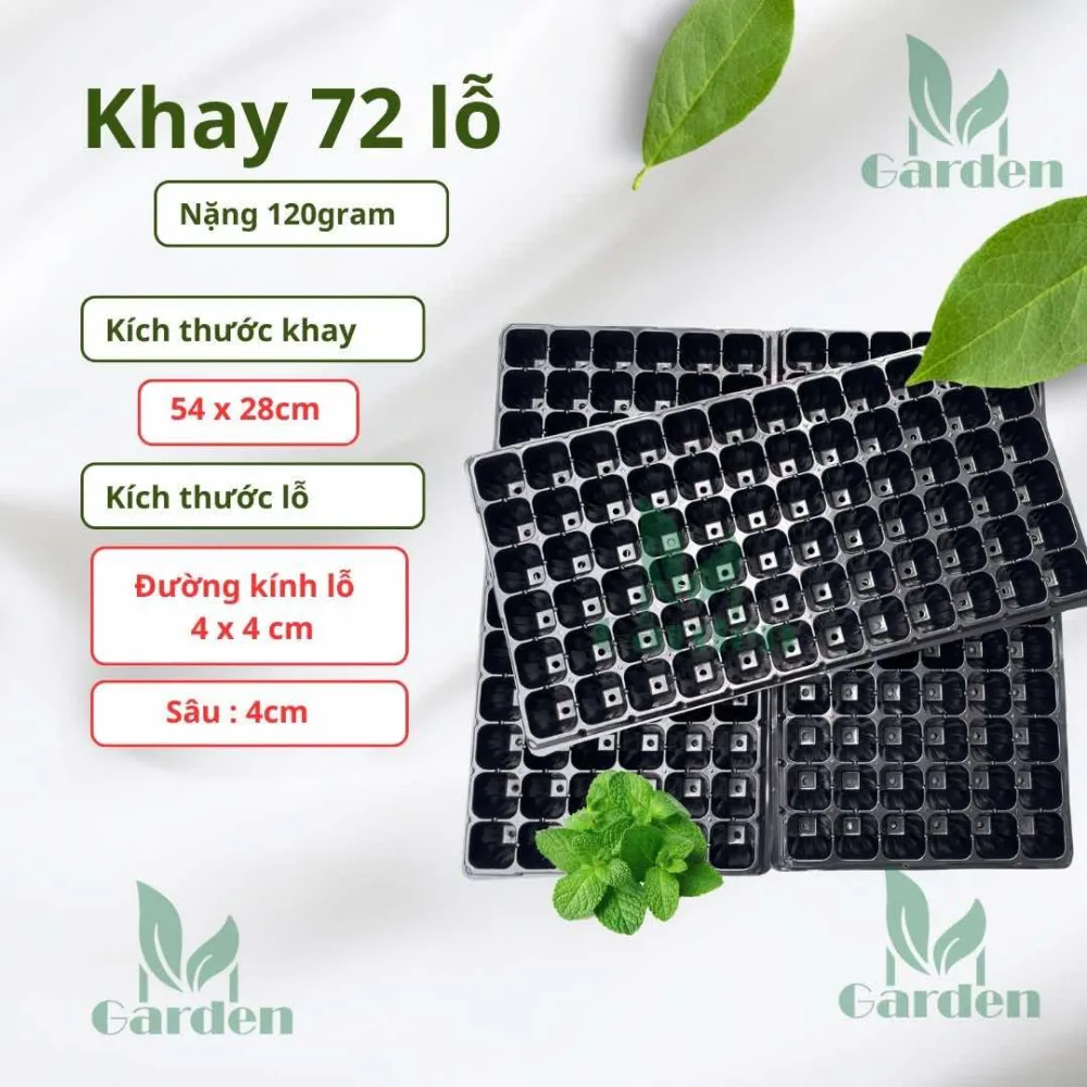 72 lỗ