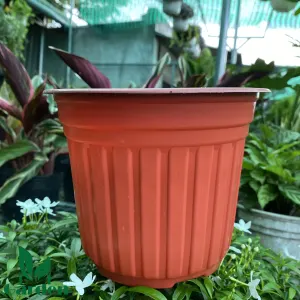 Chậu Nhựa Ươm Cây TTK